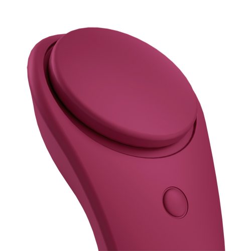 satisfyer-sexy-secret-pantry-vibrator-detail