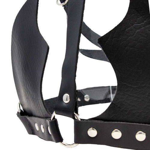 Deluxe-Fetish-Harness-Back-Wings-3