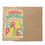 sleazy_greetings_cards_happy_bday_grey_pubes-4