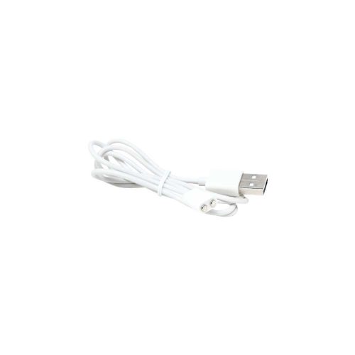 Raja_charger_NB001760
