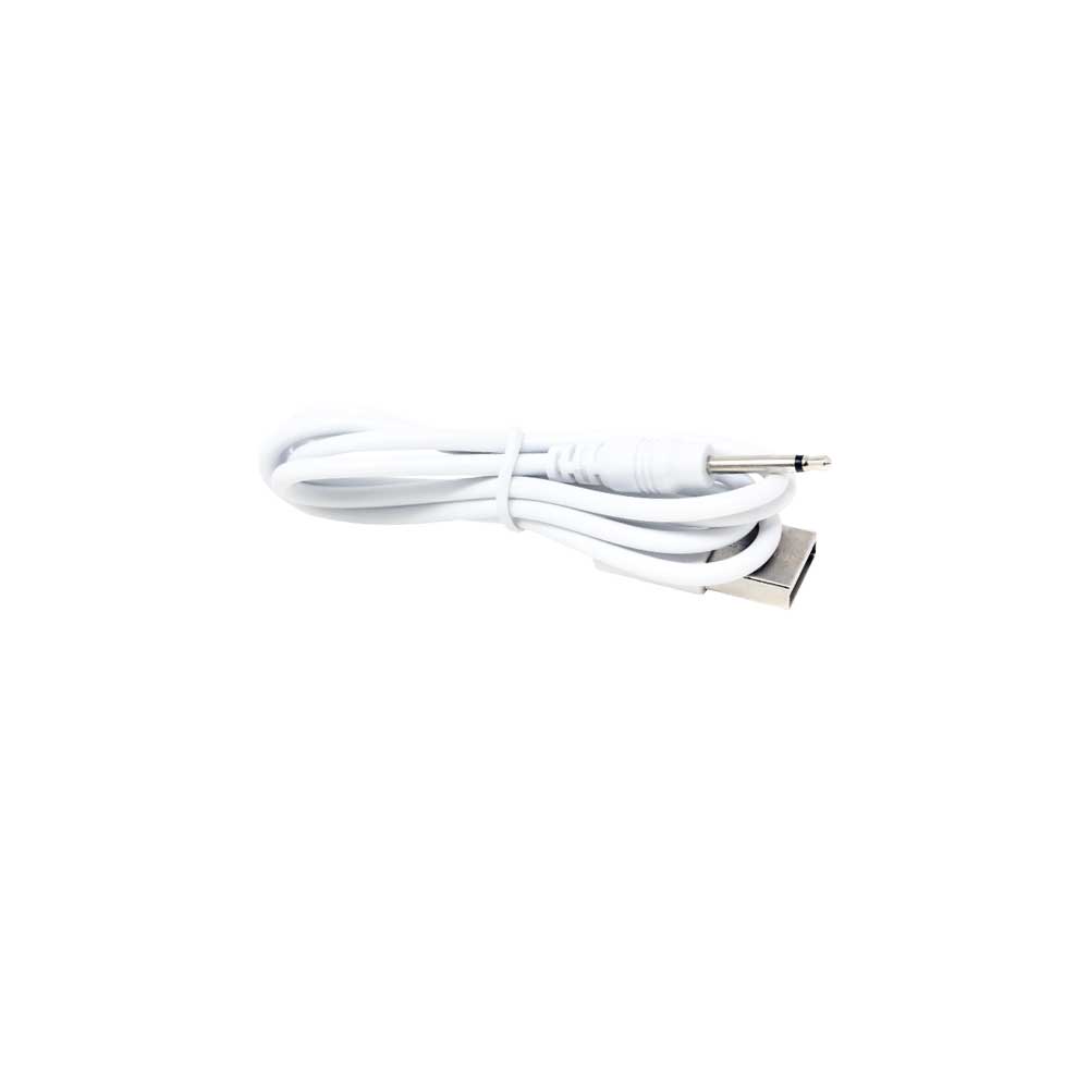 Waiz_NB001700_CHARGER