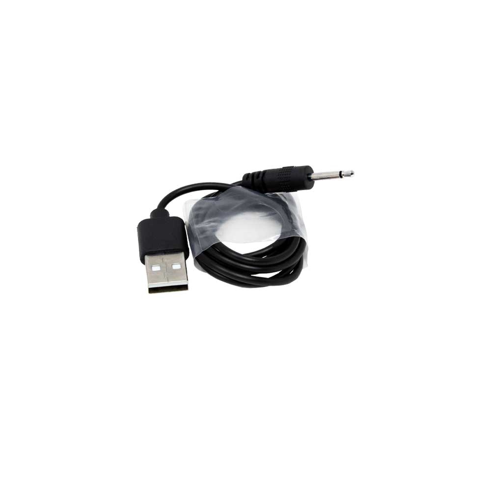Zen_Wand_BS003043_charger