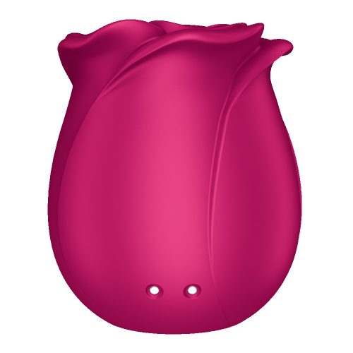 satisfyer-pro2-classic-blossom-airpulse_7